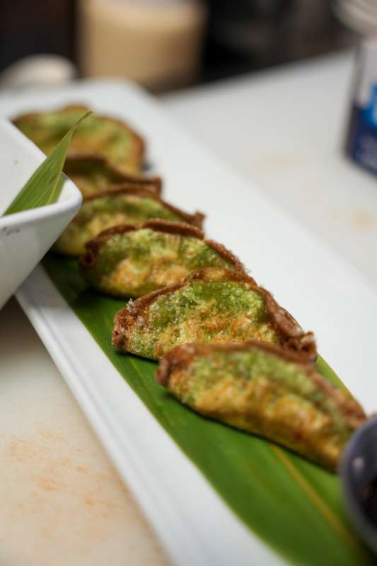 crispy veggie gyoza